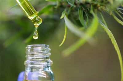 CBD vs. THC: Todo lo que necesitas saber