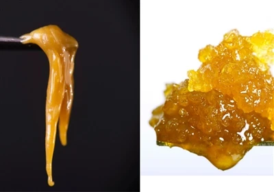 Resin Live vs. Live Rosin: ¿Cuál es la diferencia?