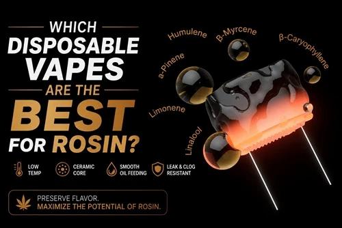 ¿Qué vaporizadores desechables son los mejores para la colofonia?